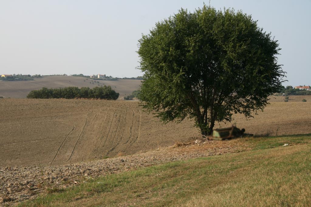 Il Campetto Country House Senigallia Zewnętrze zdjęcie