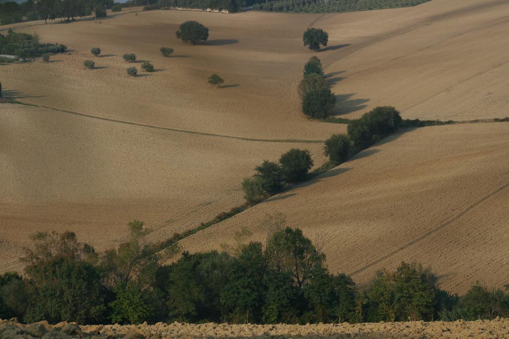 Il Campetto Country House Senigallia Zewnętrze zdjęcie